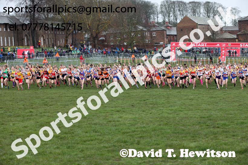 Junior girls 2019 New Balance English Schools Cross Country Champs, Temple Newsam, Leeds. Photo:  David T. Hewitson/Sports for All Pics